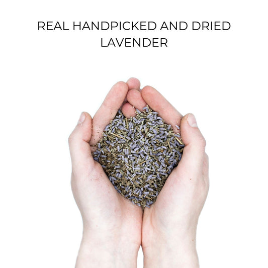 Handpicked dried lavender flowers close-up - natural organic material for eco-friendly phone cases